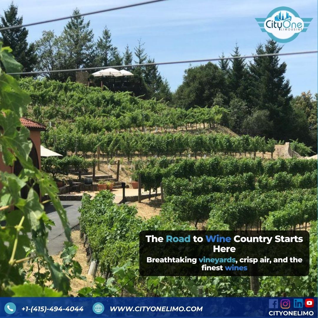 Discover the Ultimate Wine Country Escape – Breathtaking Vineyards & Unforgettable Tasting Tours