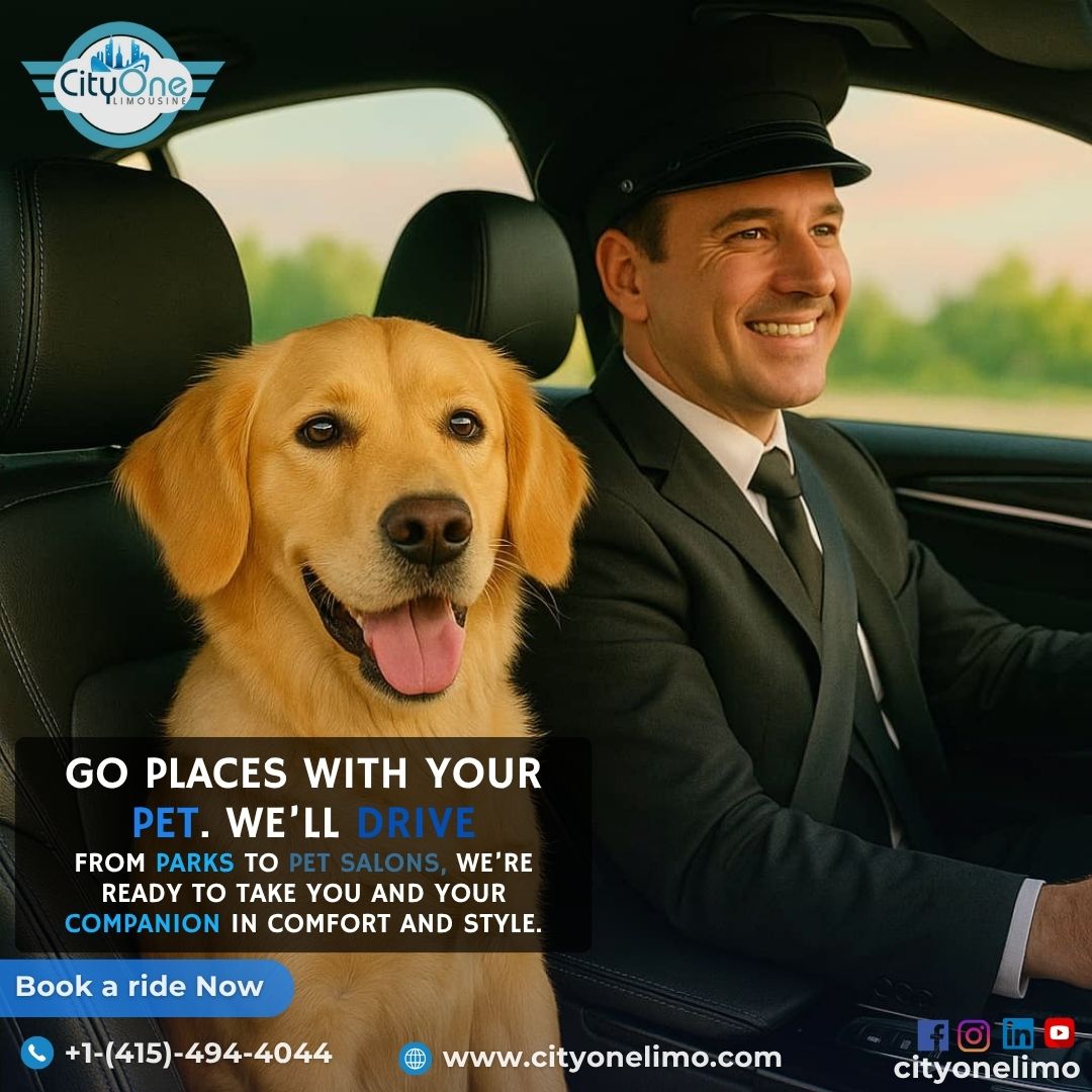 Paws on Board!” Premium Pet-Friendly Rides That Treat Your Companion Like Royalty