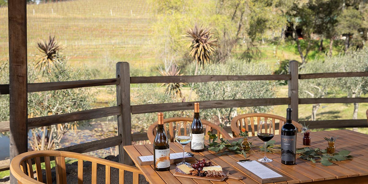 Benziger Family Winery - Sonoma Valley