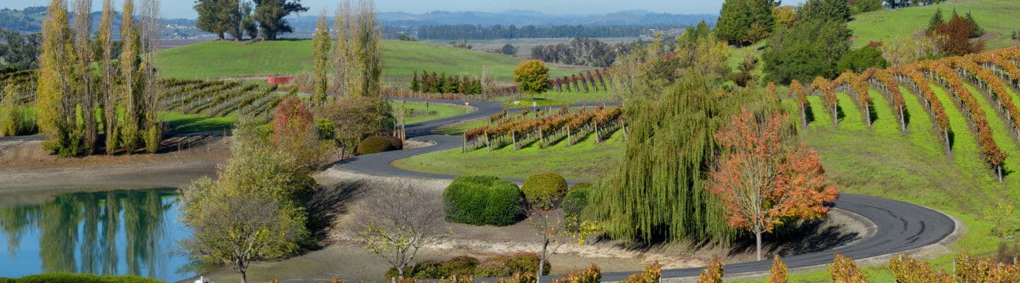 Keller Estate Winery - Sonoma Coast Wineries